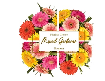 Gerberas Florist Choice Bouquet
