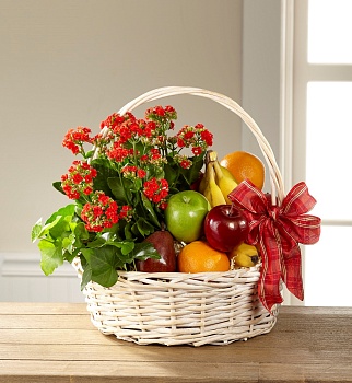 Gardens Paradise Basket