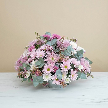 Delicate Pink Composition