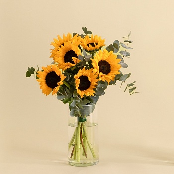 Sunshine