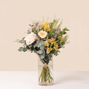 Tanti Auguri - Happy Birthday