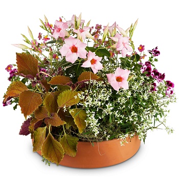 Planter Always Remembered for the cemetery