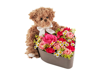 Loveheart and Teddy 250338