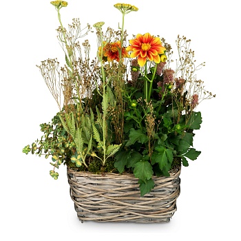 Planter 'In Gratitude' for the cemetery