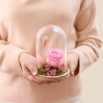 Pink eternal rose composition