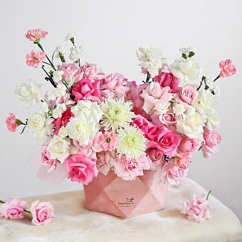 Plush in Pink