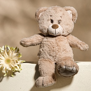 Cuddly Plush Bear - 35 cm