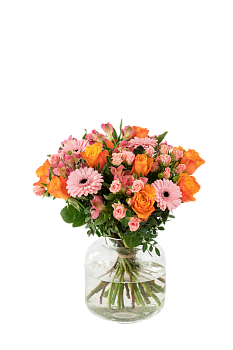 Congratulations 242606