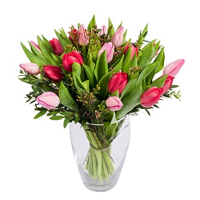 Tulips Red and Pink
